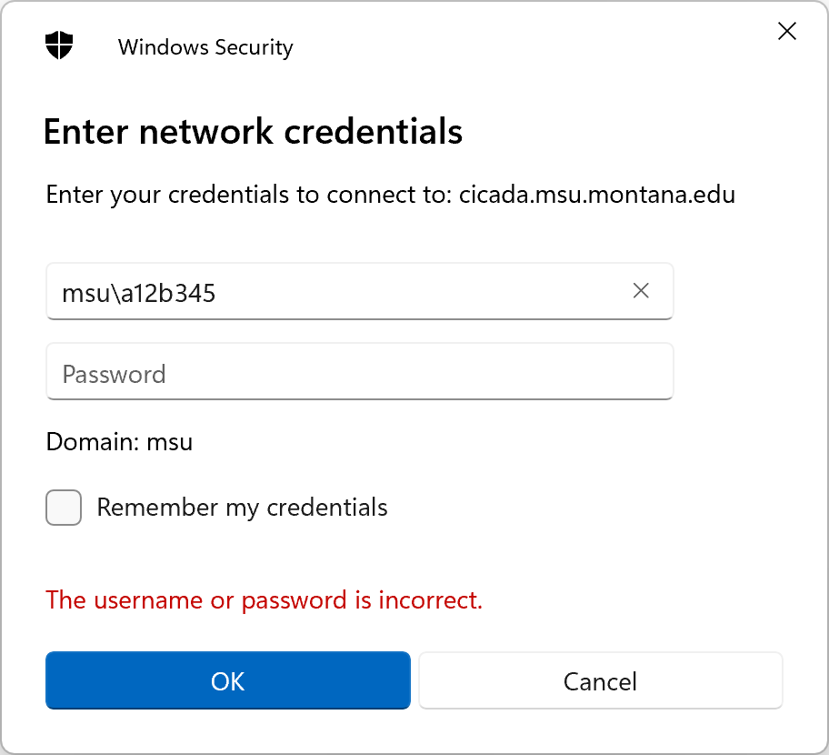 Network security window showing how to authenticate with the cicada server