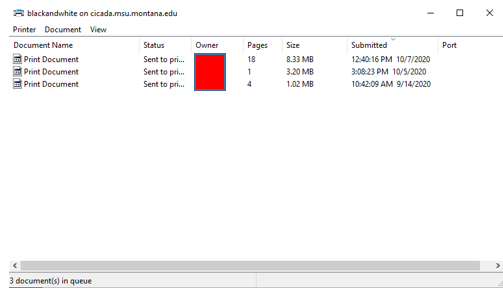 Print queue window confirms that connection has been established